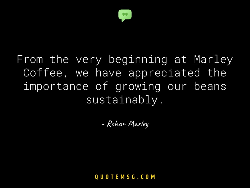 Image of Rohan Marley