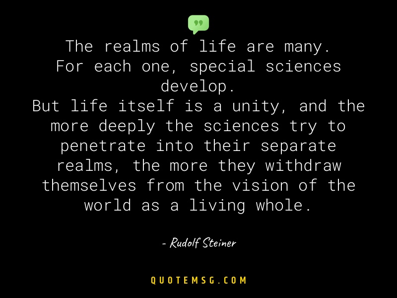 Image of Rudolf Steiner