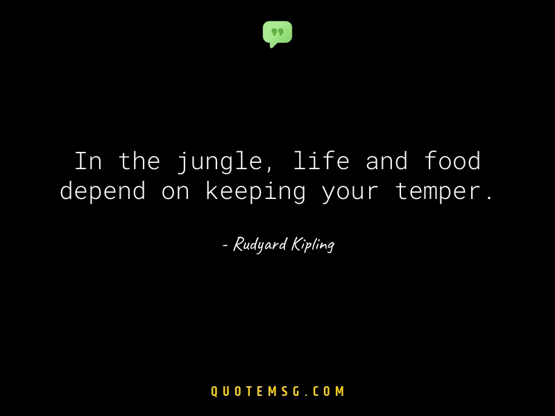 Image of Rudyard Kipling