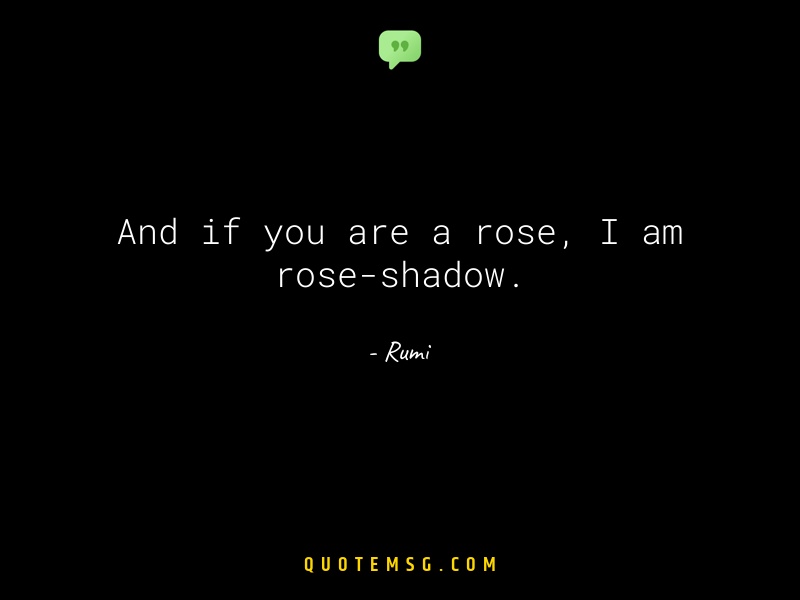 Image of Rumi