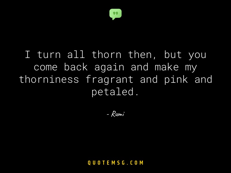 Image of Rumi