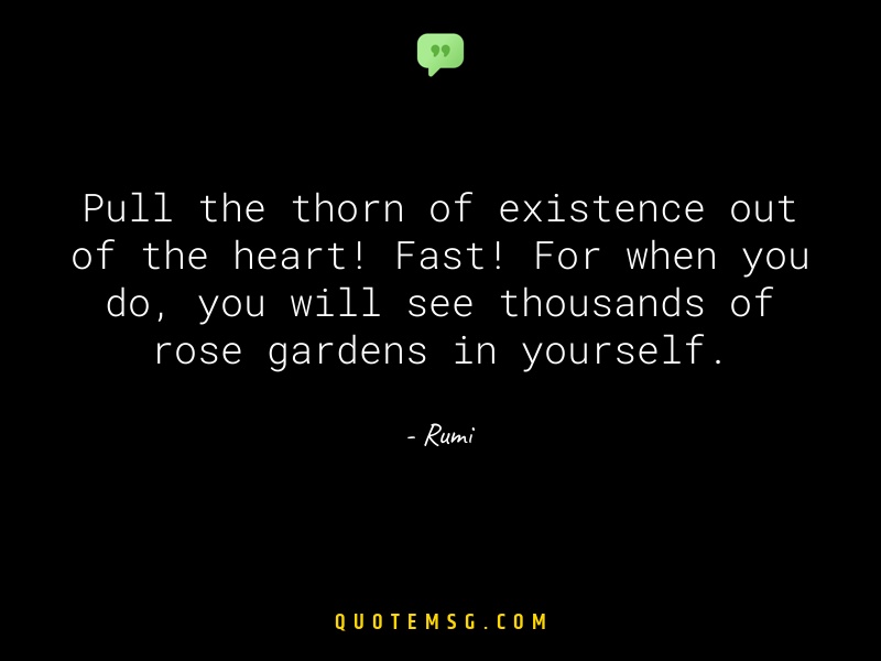 Image of Rumi