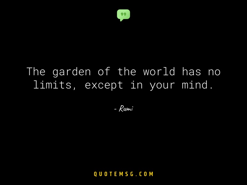 Image of Rumi