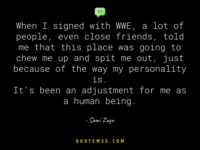 Image of Sami Zayn