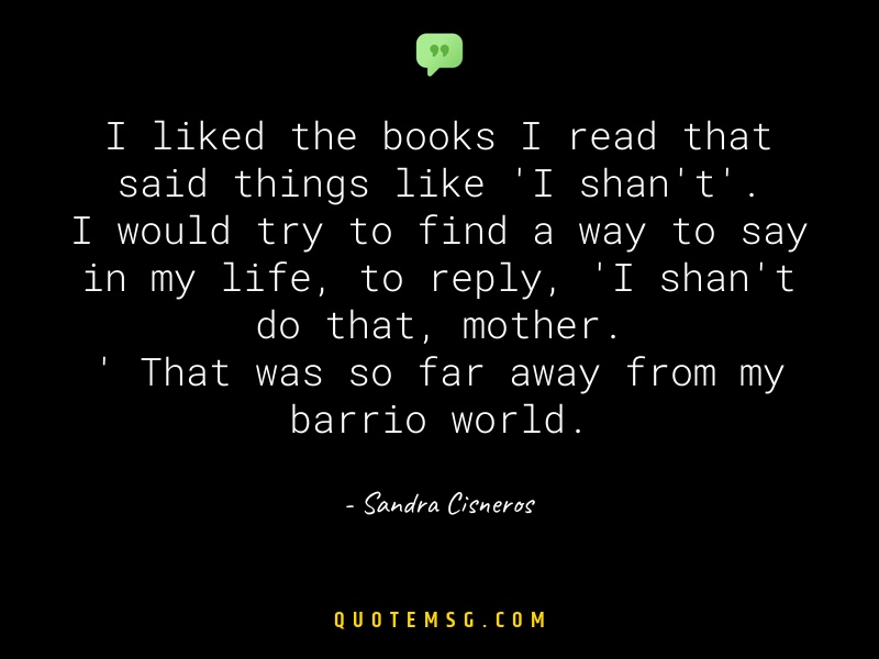 Image of Sandra Cisneros