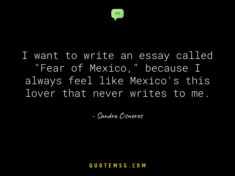 Image of Sandra Cisneros