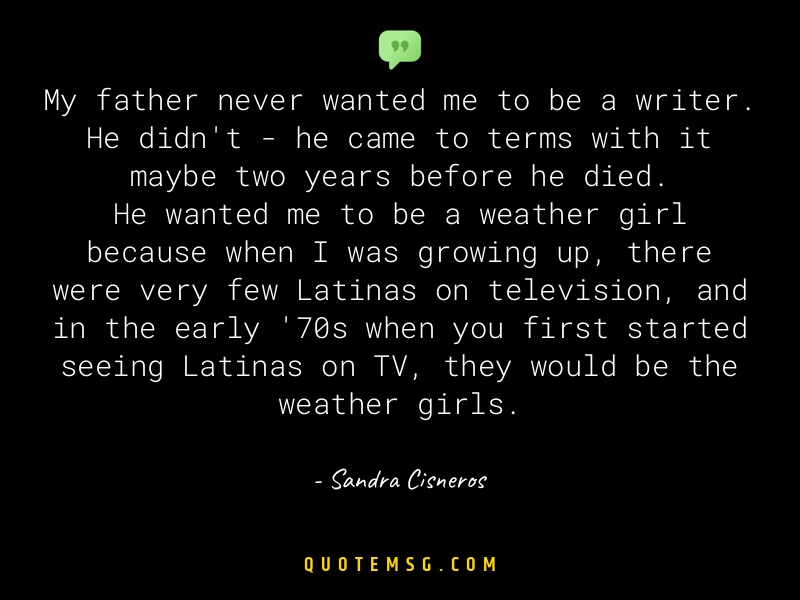 Image of Sandra Cisneros