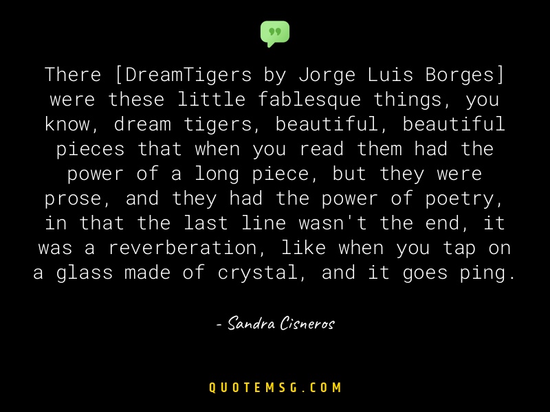 Image of Sandra Cisneros