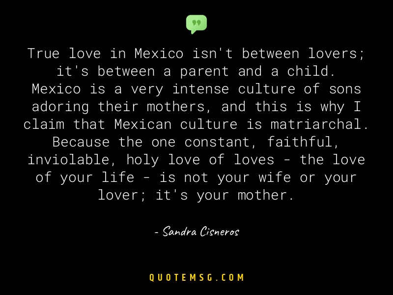 Image of Sandra Cisneros