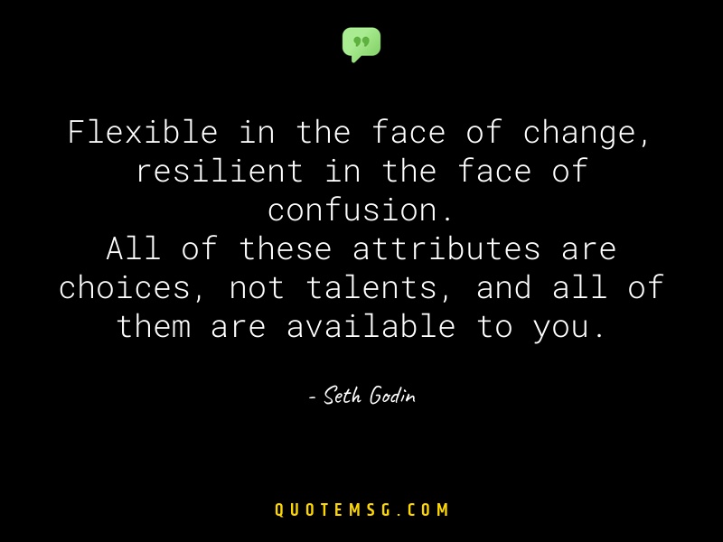 Image of Seth Godin