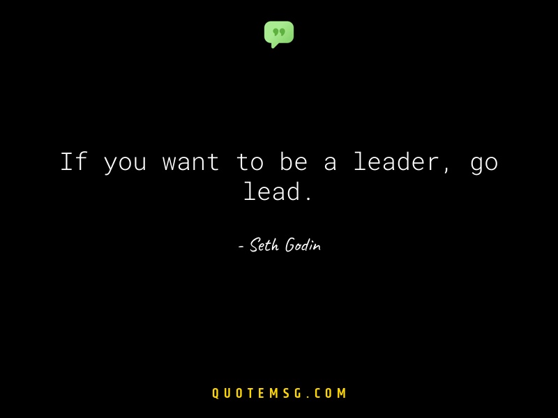 Image of Seth Godin