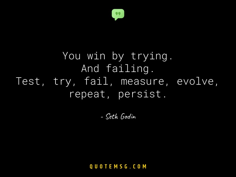 Image of Seth Godin