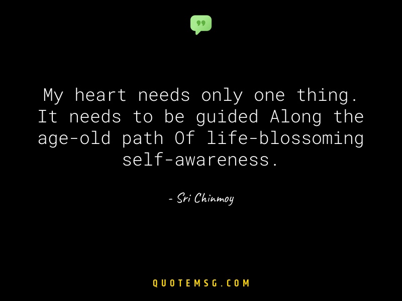 Image of Sri Chinmoy