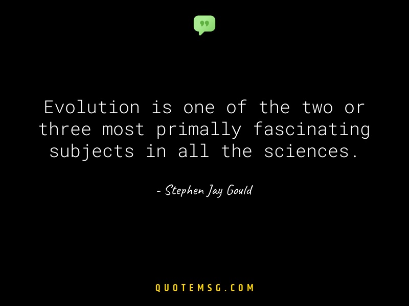 Image of Stephen Jay Gould