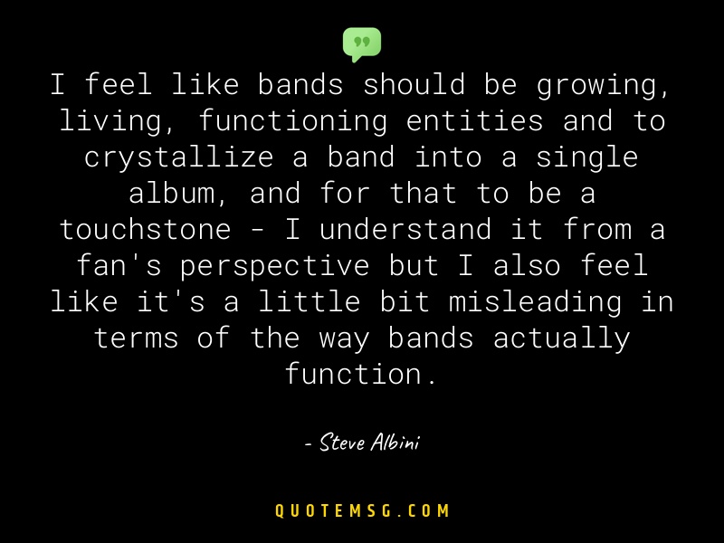 Image of Steve Albini