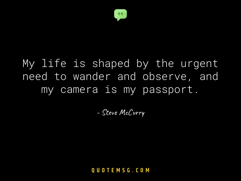 Image of Steve McCurry