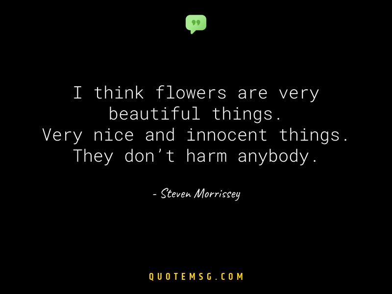 Image of Steven Morrissey