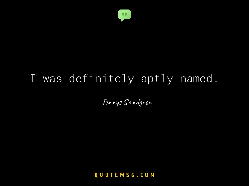 Image of Tennys Sandgren