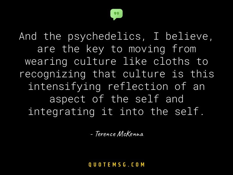 Image of Terence McKenna