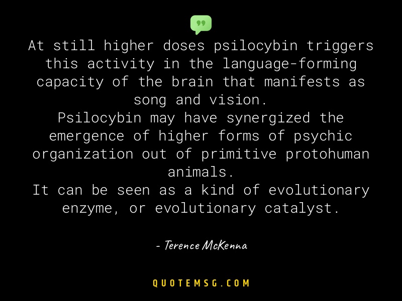 Image of Terence McKenna