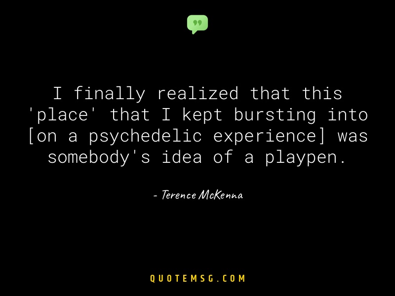 Image of Terence McKenna