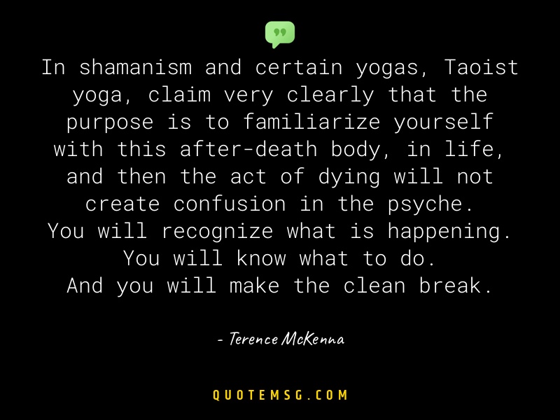 Image of Terence McKenna