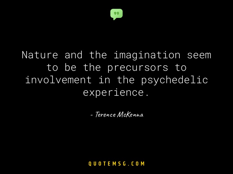 Image of Terence McKenna