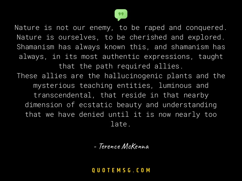 Image of Terence McKenna