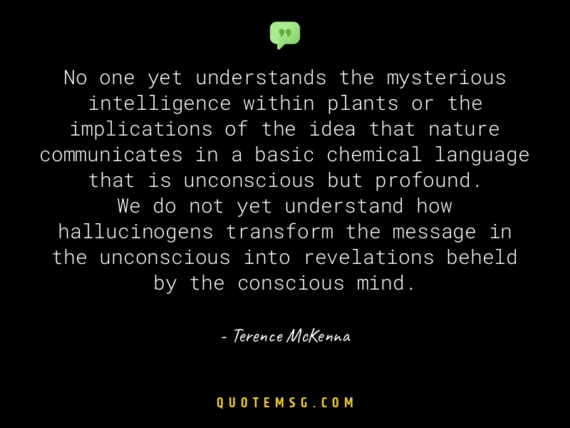 Image of Terence McKenna