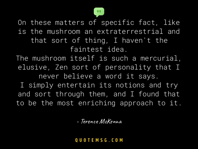 Image of Terence McKenna