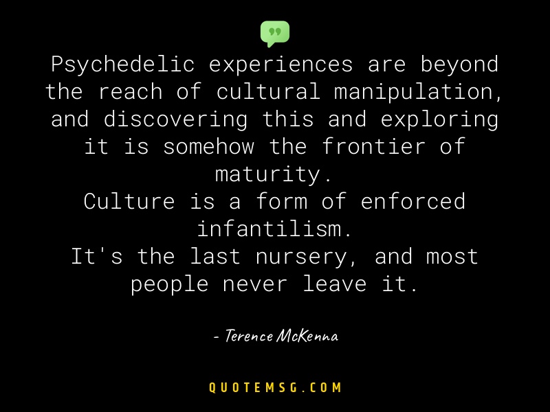 Image of Terence McKenna