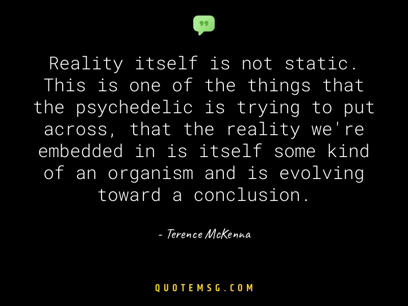 Image of Terence McKenna