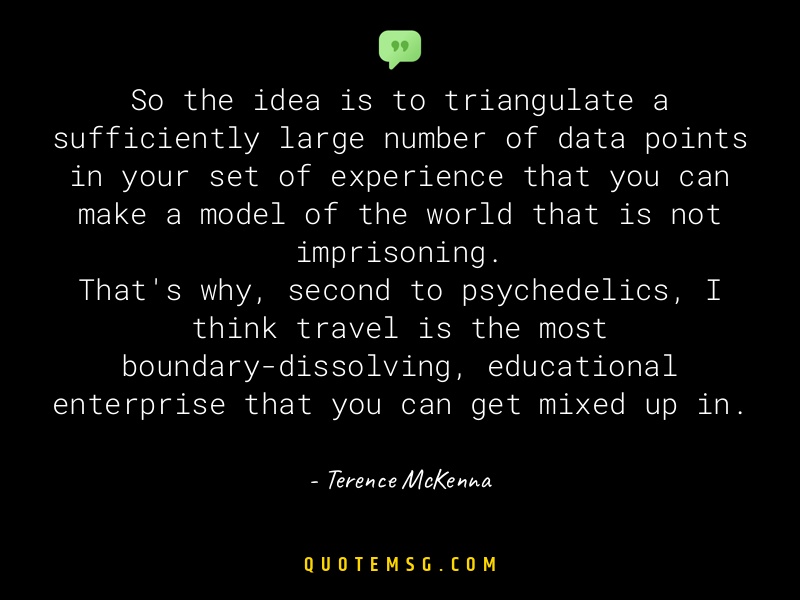 Image of Terence McKenna