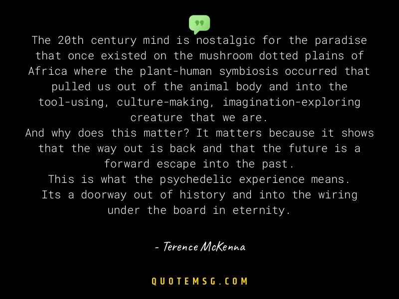 Image of Terence McKenna