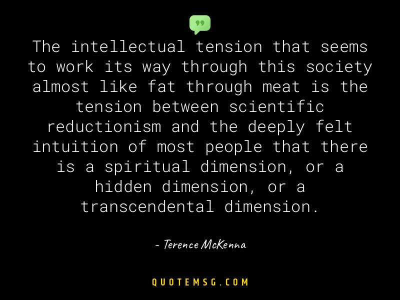 Image of Terence McKenna