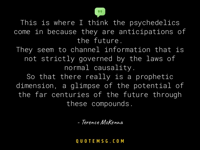 Image of Terence McKenna