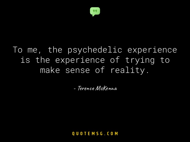 Image of Terence McKenna