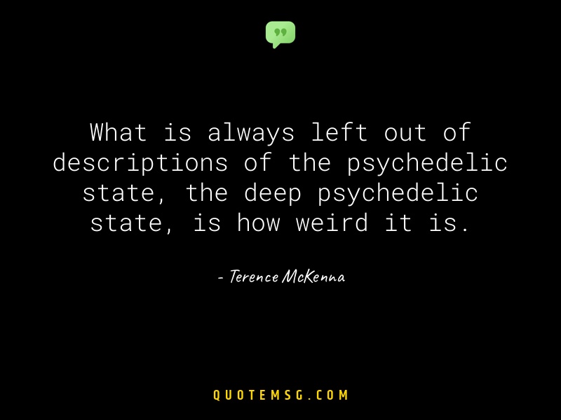 Image of Terence McKenna