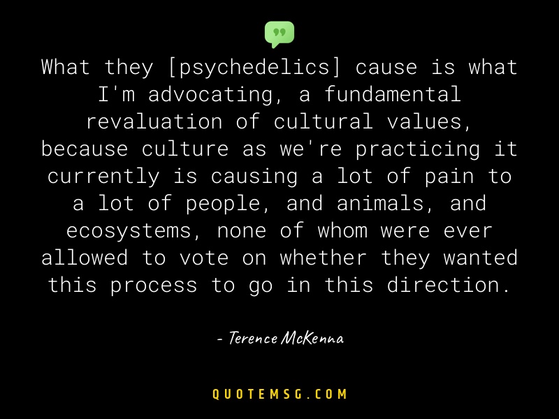 Image of Terence McKenna