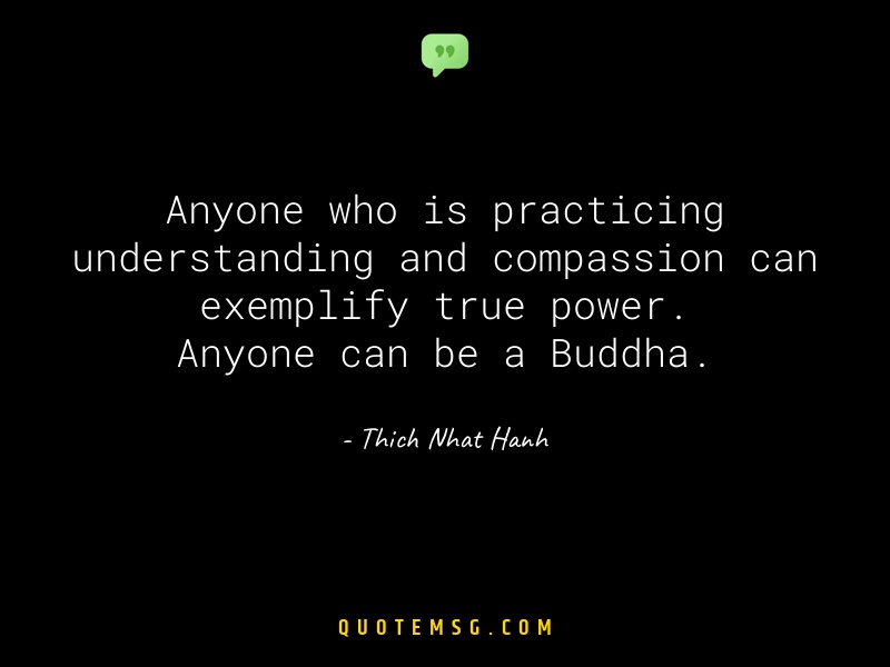 Image of Thich Nhat Hanh