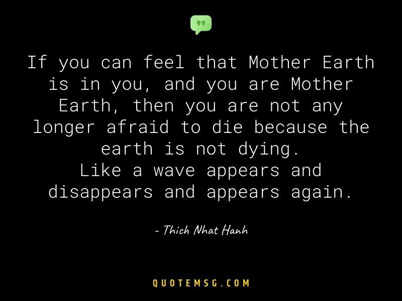 Image of Thich Nhat Hanh