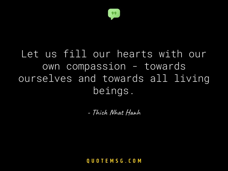 Image of Thich Nhat Hanh