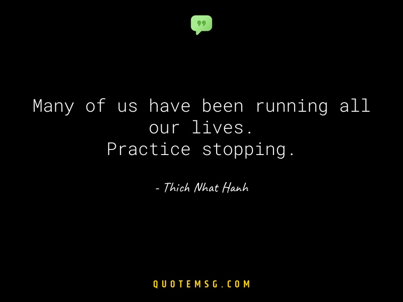 Image of Thich Nhat Hanh