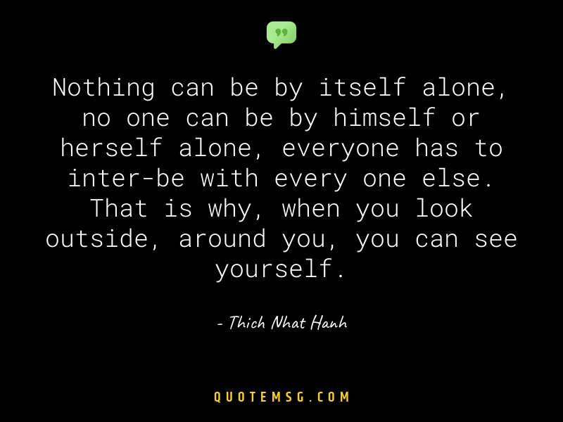 Image of Thich Nhat Hanh