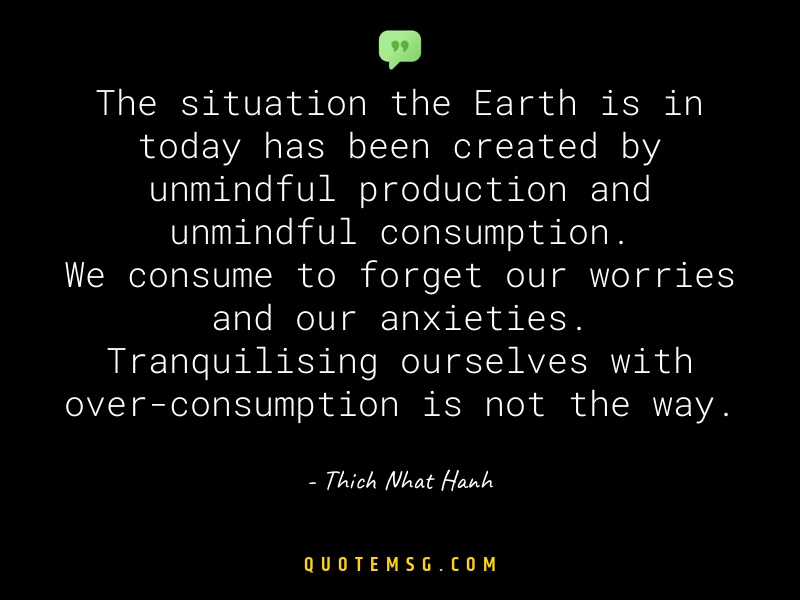 Image of Thich Nhat Hanh