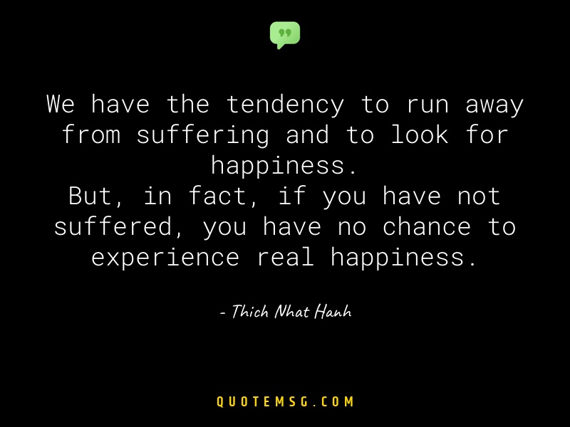 Image of Thich Nhat Hanh