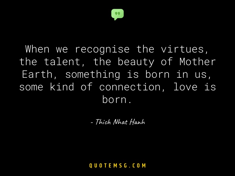 Image of Thich Nhat Hanh