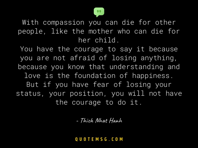 Image of Thich Nhat Hanh