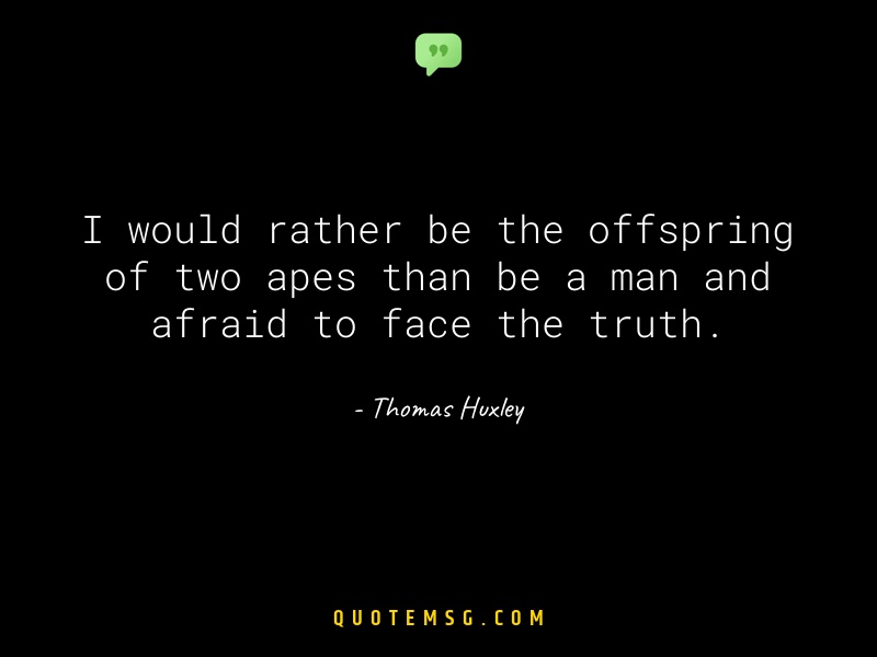 Image of Thomas Huxley