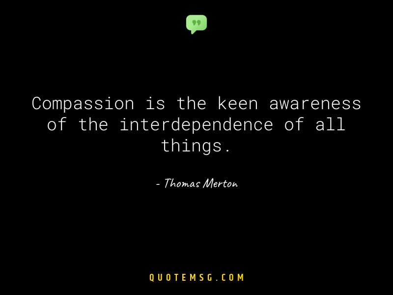 Image of Thomas Merton